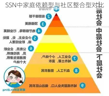 SSN中家庭依赖型与社区整合型对比