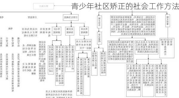 青少年社区矫正的社会工作方法