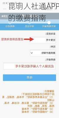 昆明人社通APP的缴费指南