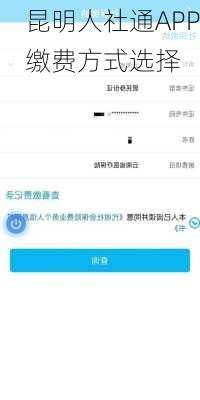 昆明人社通APP缴费方式选择