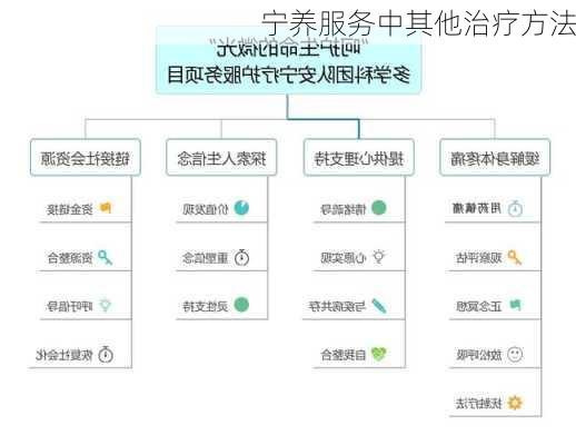 宁养服务中其他治疗方法