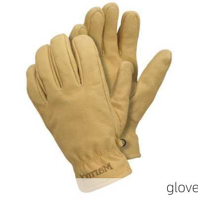 glove