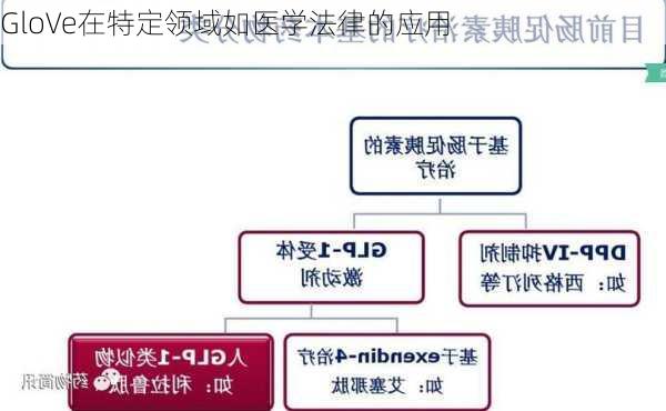 GloVe在特定领域如医学法律的应用