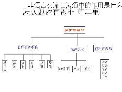 非语言交流在沟通中的作用是什么