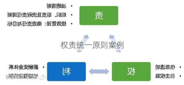 权责统一原则案例