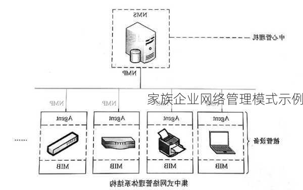 家族企业网络管理模式示例