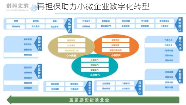 再担保助力小微企业数字化转型