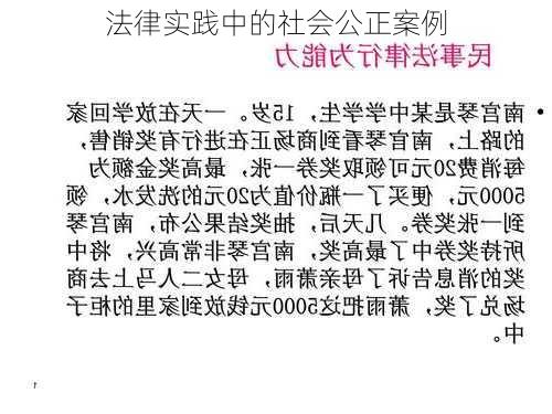 法律实践中的社会公正案例