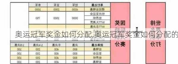 奥运冠军奖金如何分配,奥运冠军奖金如何分配的