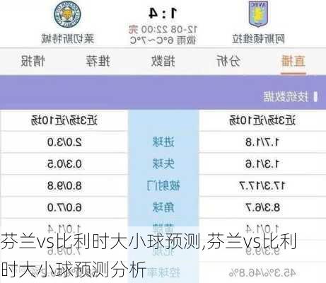 芬兰vs比利时大小球预测,芬兰vs比利时大小球预测分析