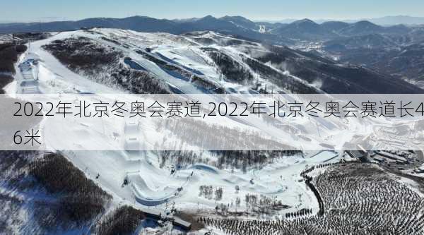 2022年北京冬奥会赛道,2022年北京冬奥会赛道长46米