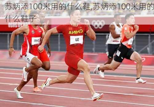 苏炳添100米用的什么鞋,苏炳添100米用的什么鞋子