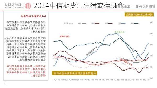 中信期货：生猪或存机会