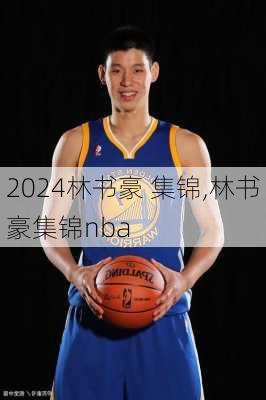 林书豪 集锦,林书豪集锦nba