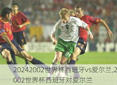 2002世界杯西班牙vs爱尔兰,2002世界杯西班牙对爱尔兰