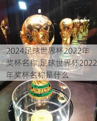 足球世界杯2022年奖杯名称,足球世界杯2022年奖杯名称是什么