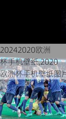 2020欧洲杯手机壁纸,2020欧洲杯手机壁纸图片