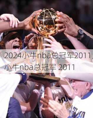 小牛nba总冠军2011,小牛nba总冠军 2011