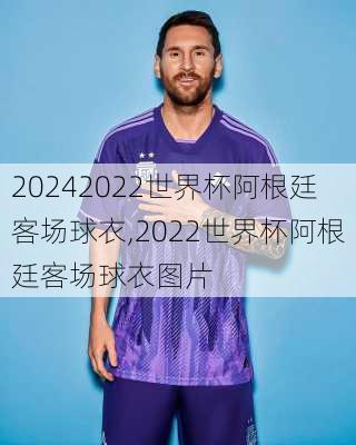 2022世界杯阿根廷客场球衣,2022世界杯阿根廷客场球衣图片