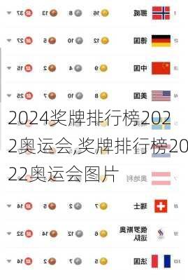 奖牌排行榜2022奥运会,奖牌排行榜2022奥运会图片