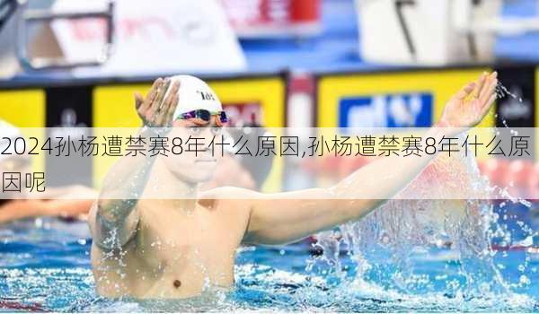 孙杨遭禁赛8年什么原因,孙杨遭禁赛8年什么原因呢