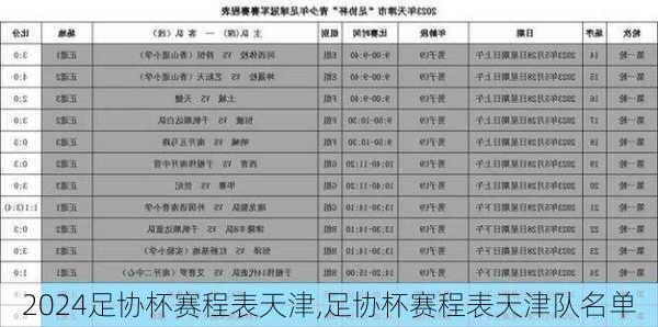 足协杯赛程表天津,足协杯赛程表天津队名单