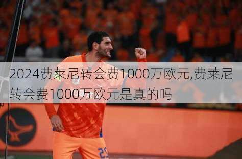 费莱尼转会费1000万欧元,费莱尼转会费1000万欧元是真的吗