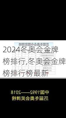 冬奥会金牌榜排行,冬奥会金牌榜排行榜最新