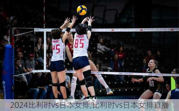 比利时vs日本女排,比利时vs日本女排直播