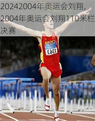 2004年奥运会刘翔,2004年奥运会刘翔110米栏决赛