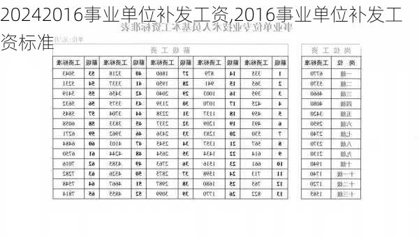 2016事业单位补发工资,2016事业单位补发工资标准