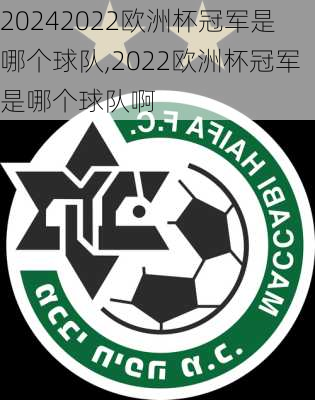 2022欧洲杯冠军是哪个球队,2022欧洲杯冠军是哪个球队啊